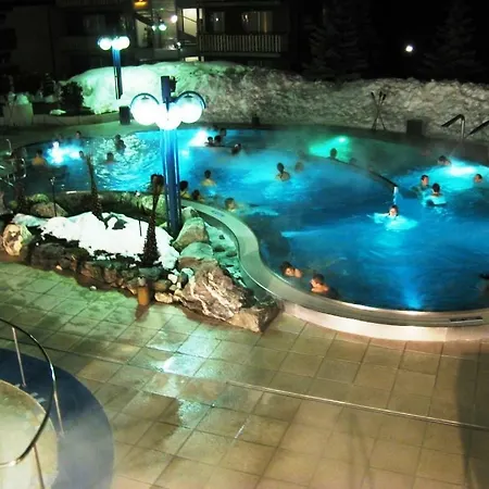 Floralp Appartement Loèche-les-Bains